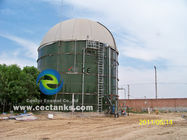 1 -4MW Biogazowa Elektrownia EPC pod klucz BOT BTO Usługa projektu z złowionymi ze szkła do stali zbiornikami magazynowymi