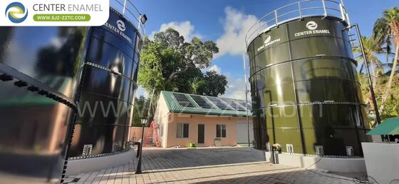 Wiodący wykonawca projektu oczyszczania ścieków zwierząt hodowlanych na Filipinach