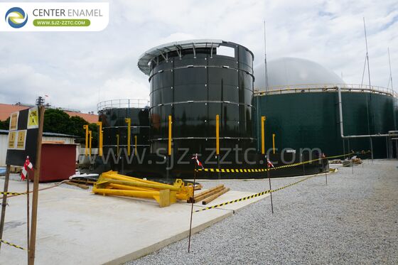 Przekształcanie krowiego łajna w energię dla Tanzanii: technologia biogazu ze zbiornikami GFS i procesem CSTR