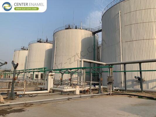 Wykonawca projektu biopaliwa z procesem CSTR dla Egiptu