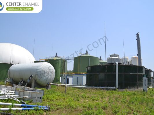 Wiodący wykonawca projektu biogazu z procesem CSTR dla południowoafrykańskiej obróbki nawozu bydła