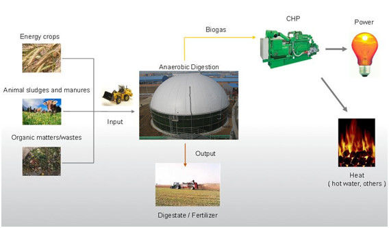 EPC Projekt USR/CSTR Biogazowy Zbiornik magazynowania biogazu, fermentacja beztlenowa, przetwarzanie odpadów w energię 1