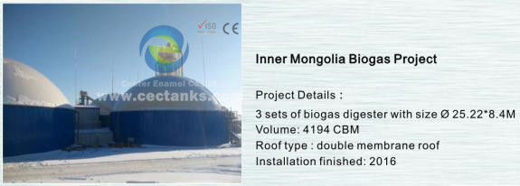 System zbiornika magazynowania biogazu trwałości dla rozwiązań pod klucz w projektach bioenergetycznych 0